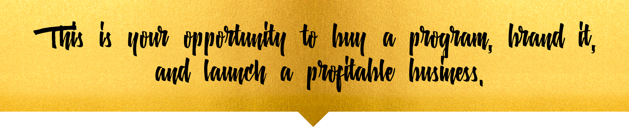 This is your opportunity to buy a program, brand it, and launch a profitable business. 