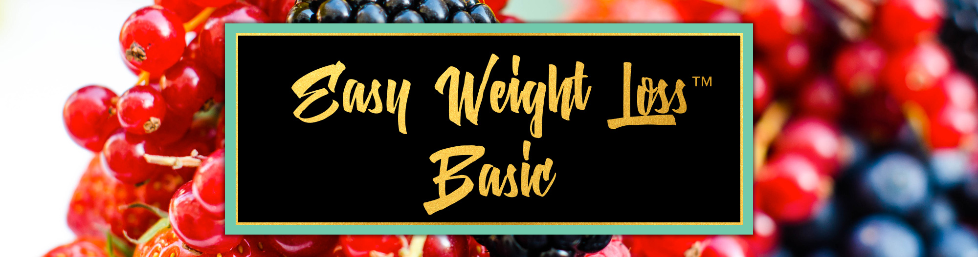 DFYEasyWeightLossHeaderBasic